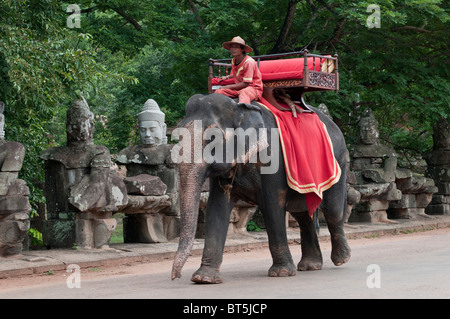 Elephant se déplace sur le pont menant à la victoire à Angkor Thom, au Cambodge Banque D'Images