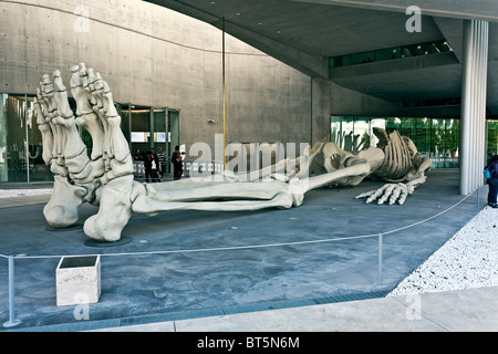 Gino De Dominicis, 'Calamita cosmica", 1988 Musée MAXXi du XXI siècle arts Roma, lazio, Italie Banque D'Images