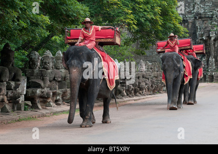 Elephant se déplace sur le pont menant à la victoire à Angkor Thom, au Cambodge Banque D'Images