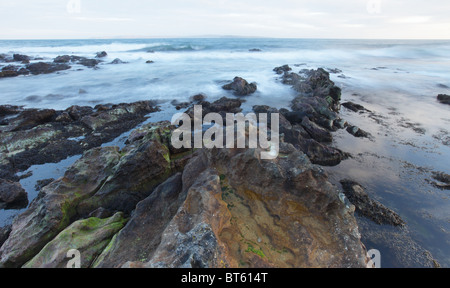 Tôt le matin, tendance sur la rive rocheuse de la baie, la mine de Ballycastle, Irlande du Nord. Banque D'Images