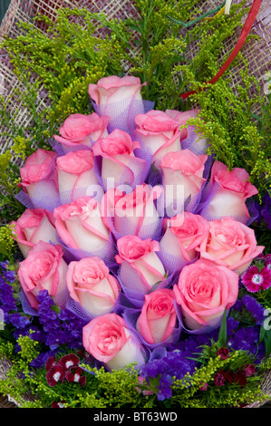 Rose rose bouquet de roses bouquet Rosa Rosaceae Banque D'Images