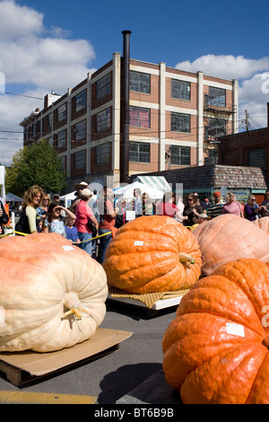 Citrouilles géantes au Festival de la citrouille, Cooperstown, New York Banque D'Images