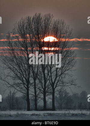 Coucher de soleil sur Winterly Barum, Elbmarsch, l'Allemagne du Nord. Banque D'Images