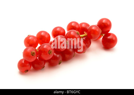 Groseille rouge sur fond blanc Banque D'Images