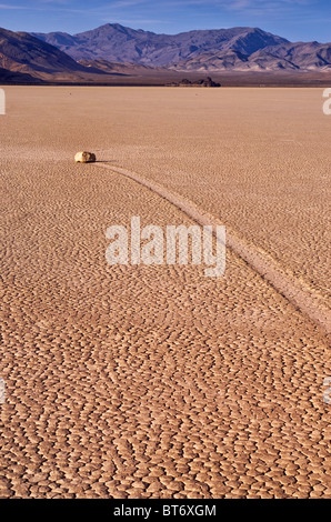 Déménagement rocks à l'Hippodrome dry lake, désert Mojave dans Death Valley National Park, California, USA Banque D'Images