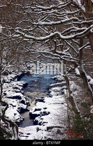 La SRCFA, une partie étroite de la rivière Wharfe dans la SRCFA Woods à Bolton Abbey, Yorkshire du Nord. L'hiver Banque D'Images