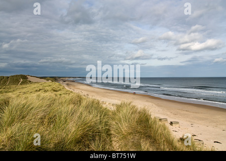 Druridge Bay Heritage Coast, Northumberland, Angleterre du Nord-Est. Banque D'Images