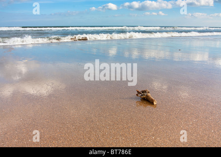 Sunny Beach avec ciel bleu, des nuages et des vagues sur la côte de Northumberland, Angleterre du Nord-Est. Banque D'Images