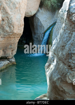 Israël, la Mer Morte, parc national Ein Gedi, cascade dans le Wadi Arugot Banque D'Images