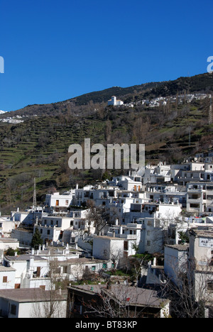 Vue de la ville, village blanc (pueblo blanco), Pampaneira, Las Alpujarras, Province de Grenade, Andalousie, Espagne, Europe. Banque D'Images