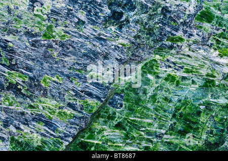 Jade sur Sand Dollar Beach, los Padres National Forest, Big Sur, Californie Banque D'Images