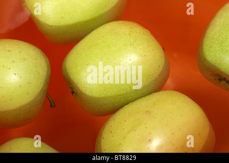 Les pommes flottant dans un seau d'eau s'effectue traditionnellement pendillant apple en Irlande sur l'Halloween Banque D'Images
