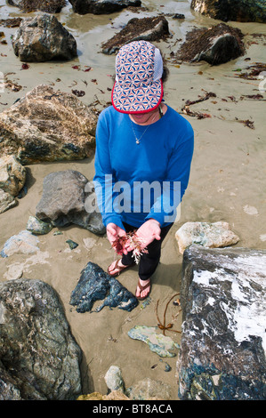 Femme épaves sur Sand Dollar Beach, los Padres National Forest, Big Sur, Californie Banque D'Images