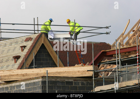 Les constructeurs de construire de nouvelles maisons sur un champ vert à Bolnore site Village. Photo par James Boardman. Banque D'Images