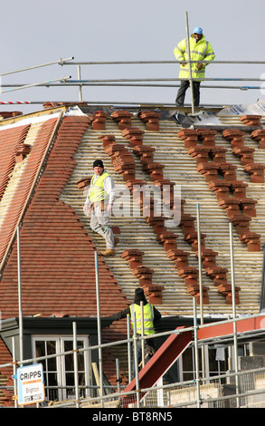 Les constructeurs de construire de nouvelles maisons sur un champ vert à Bolnore site Village. Photo par James Boardman. Banque D'Images