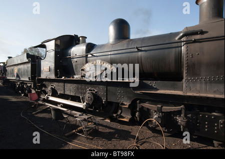 Comte de Berkeley Bluebell Railway Locomotive à vapeur,, Sussex, Angleterre Banque D'Images