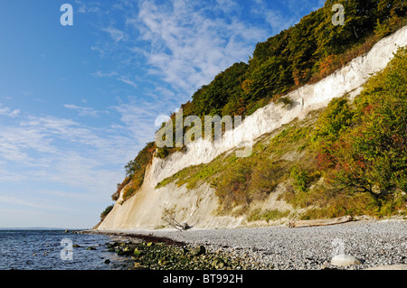 Plage et dans la strate de craie falaises de craie dans le Parc National de Jasmund, presqu'île de Jasmund, Ruegen Island Banque D'Images