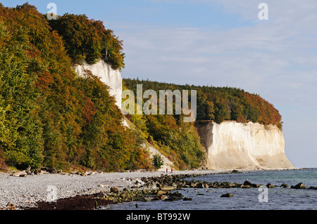 Plage et falaises de craie sur la mer Baltique dans le Parc National de Jasmund, presqu'île de Jasmund, Ruegen Island Banque D'Images