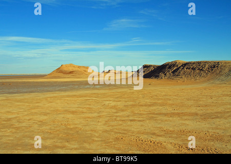 Paysage du chott El Gharsa, désert du Sahara, près de Tozeur, Tunisie occidentale Banque D'Images