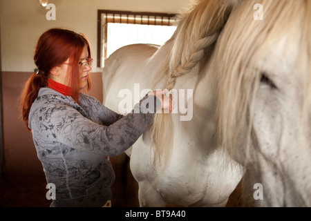 Femme avec deux gros chevaux shire noir et blanc dans les pâturages Banque D'Images