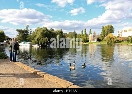 Nourrir les canards sur la Tamise à Hampton, en Angleterre, UK. Banque D'Images