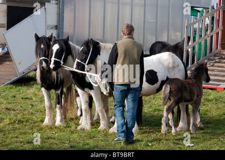 Levi, Evans ne va pas à l'école et est éduqué, il accueil veut travailler avec les chevaux vu à l'arrimage du cheval. DAVID MANSELL Banque D'Images