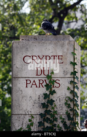 Signer pour la crypte archéologique du parvis de Notre Dame Paris France Banque D'Images