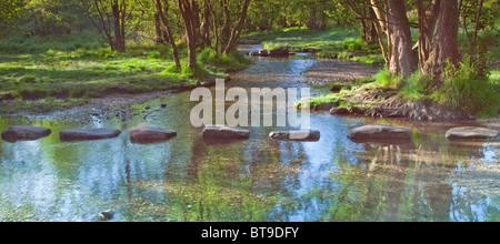 Stepping Stones en watersSher bleu Brook au début de l'été Cannock Chase Country Park AONB (région de beauté naturelle exceptionnelle Banque D'Images