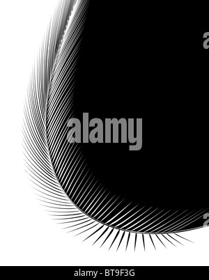 Abstract illustration of a Feather with copy space Banque D'Images