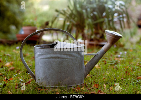 Un arrosoir en métal sur une pelouse de jardin Banque D'Images