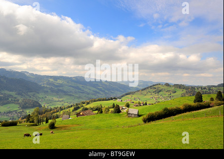 Vue panoramique à partir d'un pâturage de montagne dans la vallée de la Thur et la région près de Wattwil Toggenburg, canton de Saint-Gall, en Suisse Banque D'Images