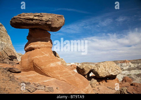 Toadstool Hoodoos, Grand Staircase Escalante National Monument (Utah), l'Amérique, USA Banque D'Images