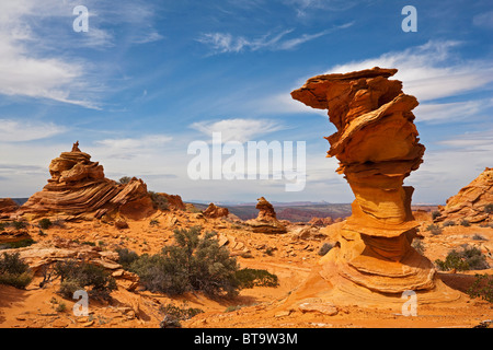 Rock bizarre, Coyote Buttes South, Paria Canyon-Vermilion Cliffs Wilderness, Utah, l'Arizona, l'Amérique, United States Banque D'Images