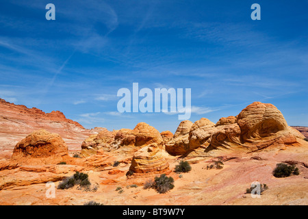 Les roches du cerveau, des formations rocheuses Coyote Buttes North, Paria Canyon-Vermilion Cliffs Wilderness, Utah, Arizona, USA Banque D'Images