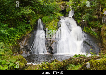 Cascades de Triberg en Forêt-Noire, Allemagne Banque D'Images