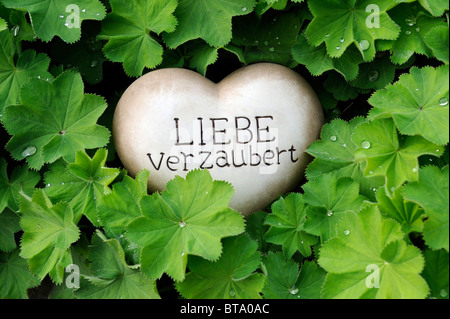 Coeur de pierre avec les mots 'Liebe verzaubert', 'l'amour est saisissante' comme une décoration de jardin entre plantes de rocaille Banque D'Images