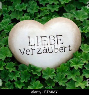 Coeur de pierre avec les mots 'Liebe verzaubert', 'l'amour est saisissante' comme une décoration de jardin entre plantes de rocaille Banque D'Images