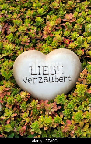 Coeur de pierre avec les mots 'Liebe verzaubert', 'l'amour est saisissante' comme une décoration de jardin entre plantes de rocaille Banque D'Images