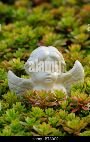 Angel figure comme une décoration de jardin entre plantes de rocaille Banque D'Images