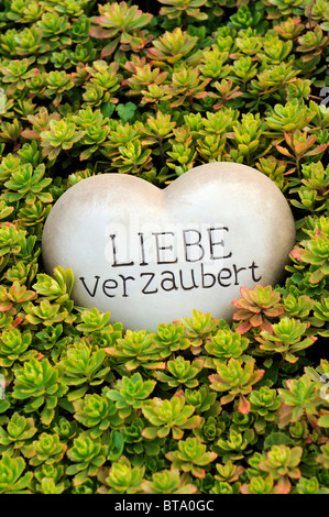 Coeur de pierre avec les mots 'Liebe verzaubert', 'l'amour est saisissante' comme une décoration de jardin entre plantes de rocaille Banque D'Images