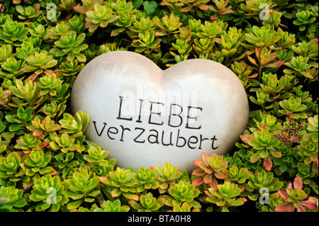 Coeur de pierre avec les mots 'Liebe verzaubert', 'l'amour est saisissante' comme une décoration de jardin entre plantes de rocaille Banque D'Images