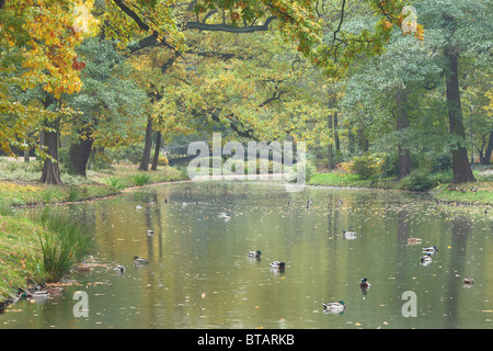 L'eau calme et tranquille d'automne opéragarnier couleurs d'automne Banque D'Images