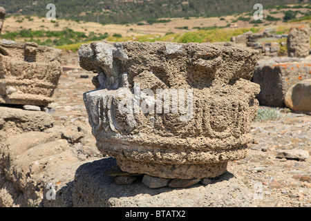 Capitale de la place romaine Baelo Claudia (2e siècle avant J.-C. par l'intermédiaire de 6e siècle AD) sur la Costa de la Luz dans la province de Cadix, au sud de l'Espagne Banque D'Images