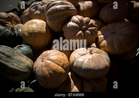 Les citrouilles pour Halloween sont en vente à la Jamaïque Marché aux Fleurs dans la ville de Mexico, 18 octobre 2010. Banque D'Images