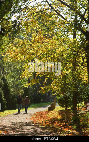 Jeune couple marche main dans la main à travers les couleurs d'automne à Bedgebury Pinetum National Banque D'Images