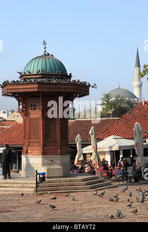 Bosnie-herzégovine, Sarajevo, Quartier Bascarsija, Pigeon, carrés, Fontaine Sebilj Banque D'Images