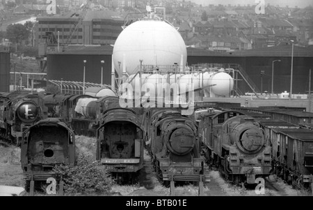 Chantier de locomotives à vapeur britanniques à Woodhams Yard à Barry Sud-Galles juillet 1981 Grande-Bretagne images des années 1980 PAR DAVID BAGNALL Banque D'Images