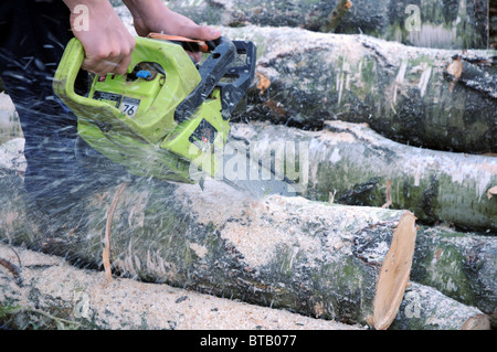 Préparation pour l'hiver dans de petits village polonais, garçon à l'aide de scie à chaîne pour couper des arbres de bouleau Banque D'Images