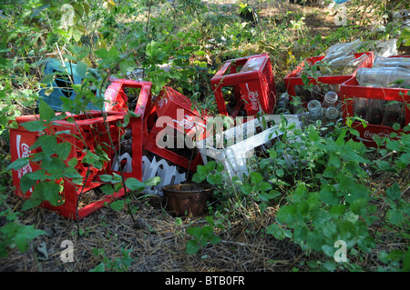 Les boîtes en plastique Coca-Cola jeté en forêt, Pologne Banque D'Images