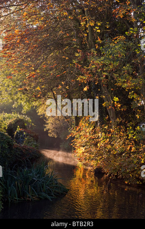 Au début de l'automne la lumière du matin sur la rivière Ver dans la ville de St Albans Herts UK Banque D'Images